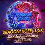 Dragon Tiger Luck สล็อตเสือมังกร-หยินหยาง 